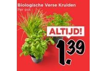 biologische verse kruiden