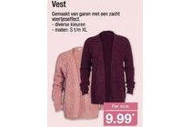 vest