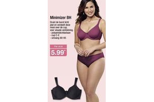 minimizer bh
