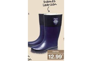 regenlaarzen dames