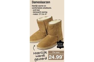 dameslaarzen