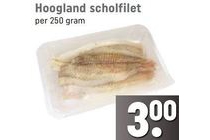 hoogvliet scholfilet