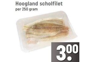 hoogvliet scholfilet