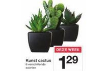 kunst cactus