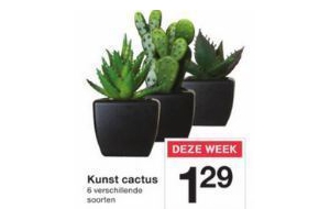 kunst cactus