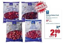 horeca select fruit