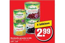 bonduelle groente in blik