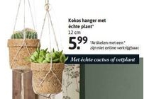 kokos hanger met echte plan