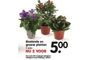 bloeiende en groene planten