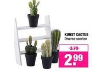 kunst cactus