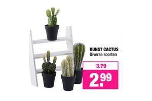 kunst cactus