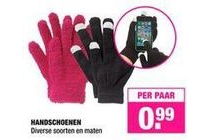 handschoenen