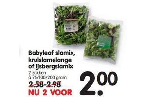 babyleaf slamix krulslamelange of ijsbergslamix