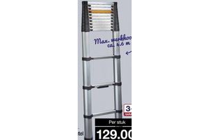 telescoopladder