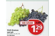 plus druiven met pit