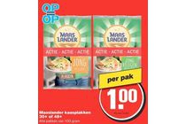maaslander kaasplakken 30 of 48