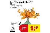 herfsttak