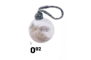 glas met veren
