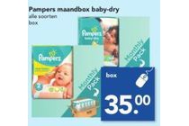 pampers maandbox baby dry