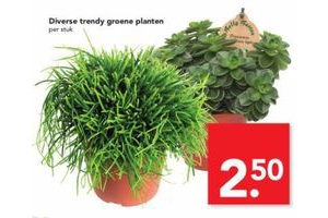 trendy groene planten