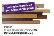 plinten