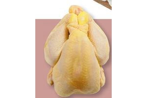 maiskip gourmand