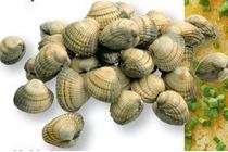 kokkels