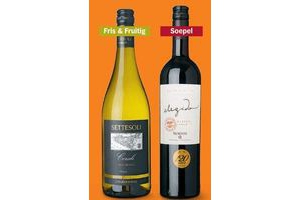 norton elegido en settesoli corale