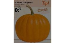 knutsel pompoen