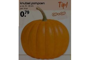 knutsel pompoen