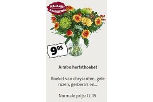 jumbo herfstboeket