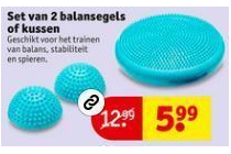set van 2 balansegels of kussen