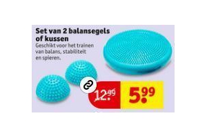 set van 2 balansegels of kussen