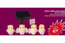 solar uiltjes aan snoer