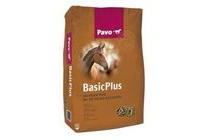 pavo basicplus