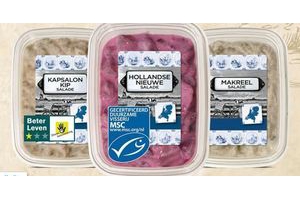 hollandse streeksalade