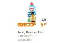 persil fleuril en silan