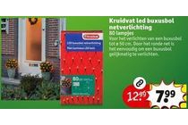 kruidvat led buxusbol netverlichting