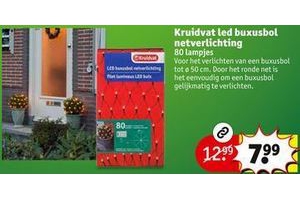 kruidvat led buxusbol netverlichting