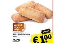 plus mini ciabatta