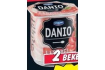 danio fruitkwark