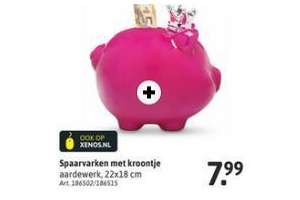 spaarvarken met kroontje