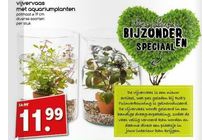 vijvervaas met aquariumplanten