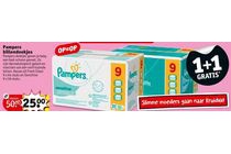 pampers billendoekjes