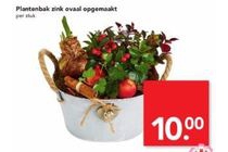 plantenbak zink ovaal opgemaakt