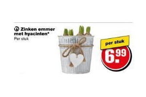 zinken emmer met hyacinten