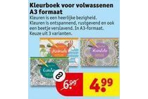 kleurboek voor volwassenen a3 formaat