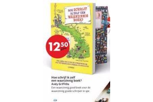 hoe schrijf ik zelf een waanzinnig boek