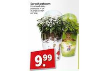 sprookjesboom