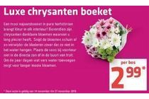 chrysanten boeket